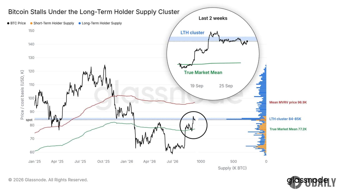 glassnode: $84K–$85K Is the Densest Cost Basis Zone for Long-Term Holders in BTC