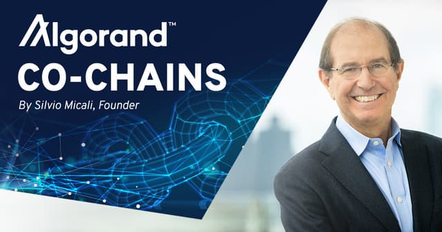 Interpretation of Algorand Co-Chain Technology