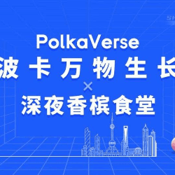 "PolkaVerse Polkadot Everything Grows" Shanghai Station Project Sharing