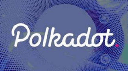 A picture of Polkadot ecology