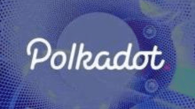 Understand Polkadot's investment logic in one article