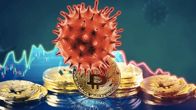Is Bitcoin a safe-haven asset or a reserve asset?