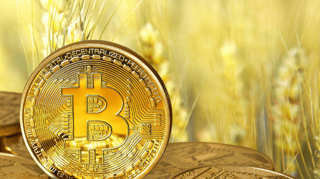 CCTV's financial report hits a record high. What is the important driver of Bitcoin's rise?
