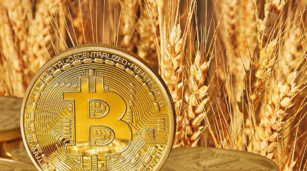 Currency Market Huijin: Bitcoin has not fallen enough to attract more, and Ethereum is brewing a big market