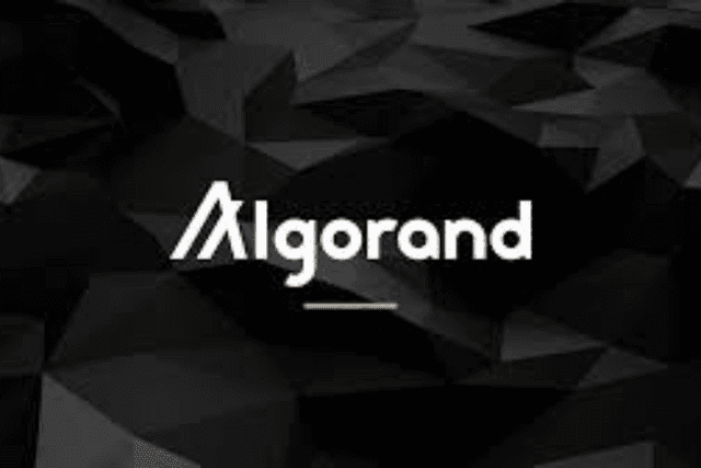 What new changes will Algorand bring to battle?
