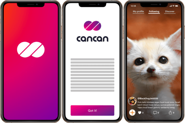 CanCan: Exploring the Potential of Tokenization under the Open Internet | DFINITY Launch Conference