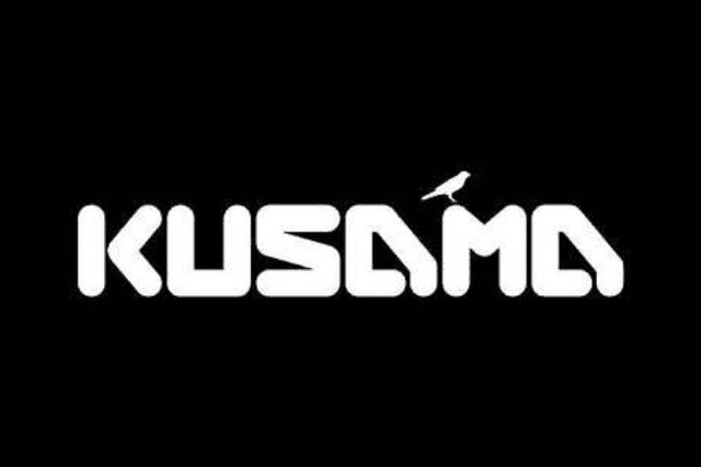 Kusama Parachain Slot Bidding Strategy Overview