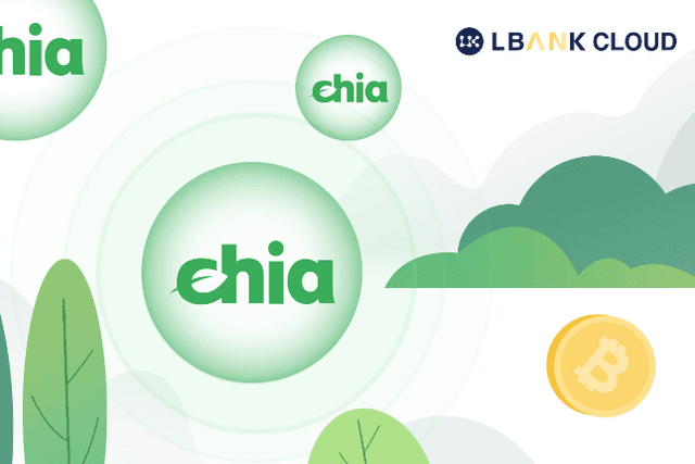 Does Chia Have a Chance to Be the Next Bitcoin?
