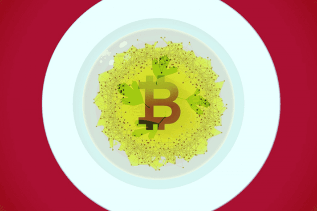 Apifiny: Should Bitcoin be held or left? See what the big guys say