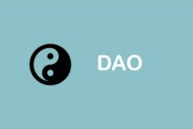 This article understands how community DAO achieves value capture: bottom-up