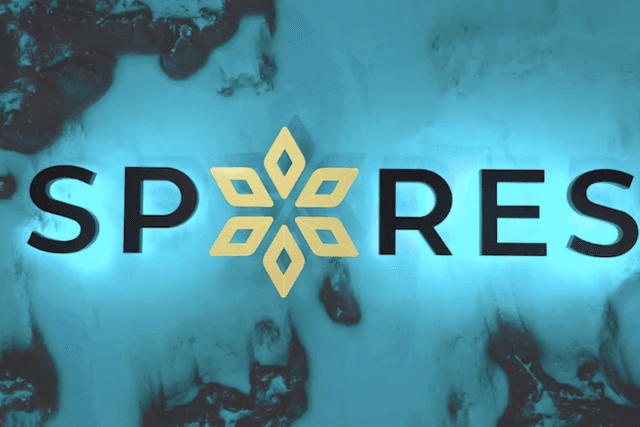 Jeffrey, Chief Curator of Spores Network: The creation of the metaverse is a change in contemporary life