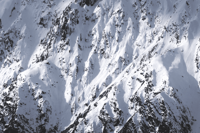 Nansen: What is the ecological potential of Avalanche, which started the "gold rush"?