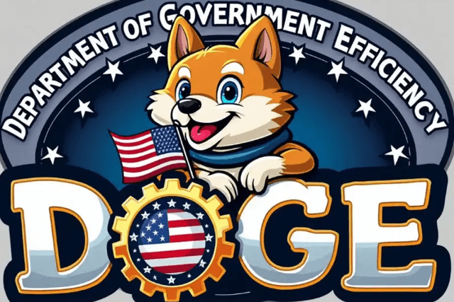 馬斯克將入閣美政府效率部，DOGE再起舞？