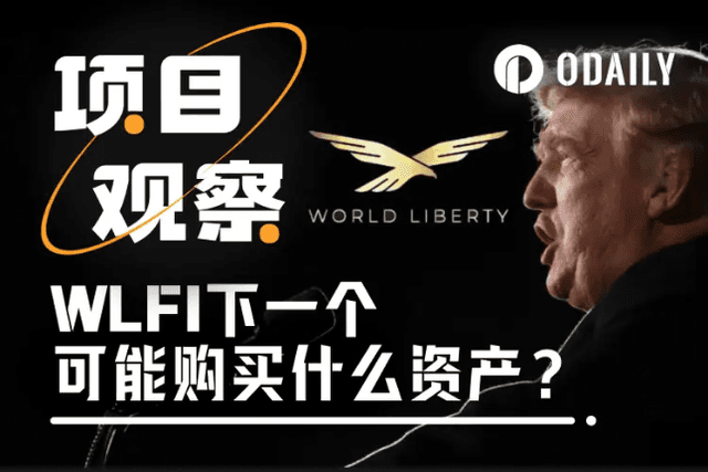 川普家族項目WLFI接下來可能買進哪些資產？