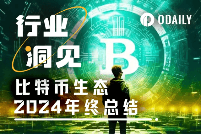 2024，我對比特幣生態感到“遺憾”