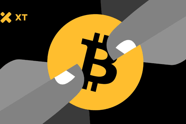 從區塊鏈到商業：解鎖Tesla與MicroStrategy以外的加密友善企業