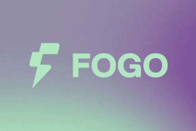 不差錢的SVM新星，Fogo究竟有何亮點？