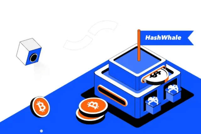 HashWhale BTC礦業週報| 市場觀望情緒濃厚；比特幣網路算力創下新紀錄（2.03-2.09）