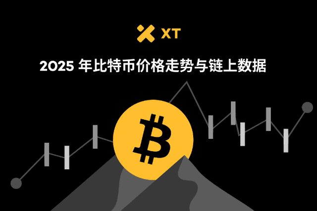2025比特幣牛市密碼：鏈上供需、交易活躍度與質押報酬揭秘