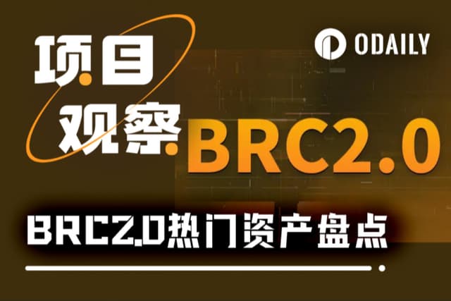 主網倒數計時,BRC 2.0升級引爆BTC生態,龍頭NFT月漲百倍|BTC生態