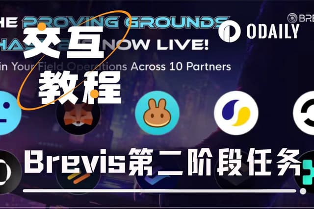 手把手帶你參與Brevis第二階段任務