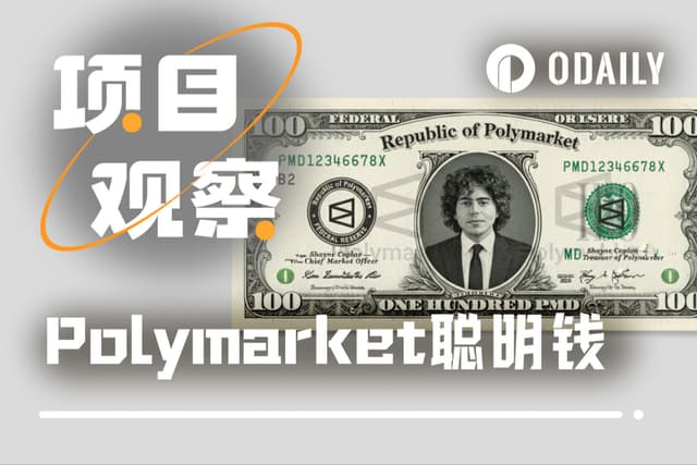 Polymarket實戰:找到並跟隨「聰明錢」的完整指南