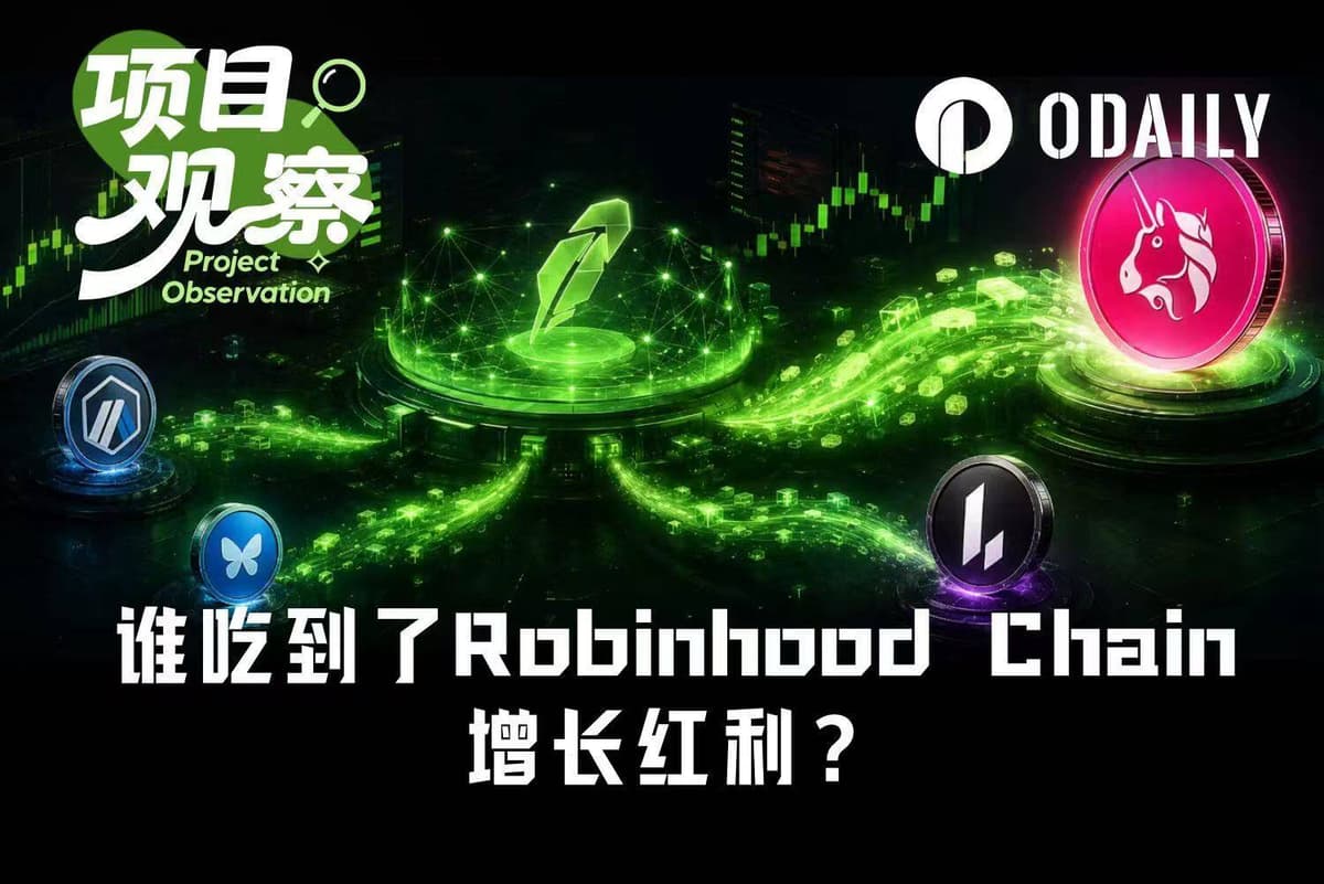 大熱Robinhood Chain沒發幣,哪些山寨幣吃到了增長紅利?