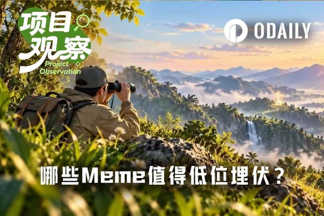 このMeme相場で、どの銘柄が低い位置で仕込む価値があるのか?