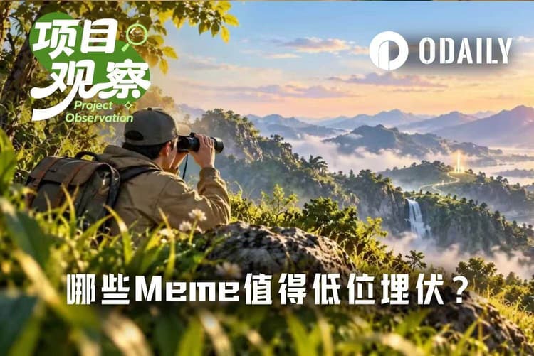 このMeme相場で、どの銘柄が低い位置で仕込む価値があるのか?