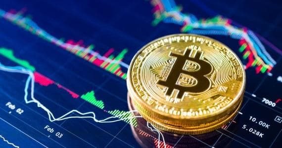 After the halving, patiently hold BTC and wait for the market to come