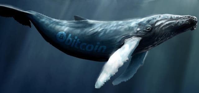 23 data show that the bull market of Bitcoin is coming