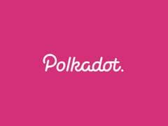 Take stock of how Polkadot, which has raised hundreds of millions of dollars, got to where it is today step by step?