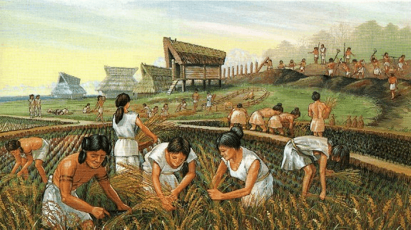 What enlightenment does the development of ancient agriculture have on today's DeFi revolution?